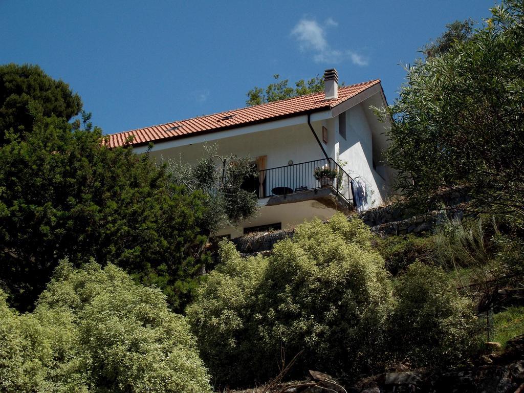 B&B L'Intrigante 세보르가 외부 사진